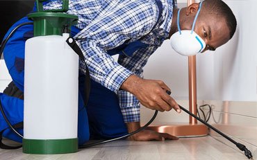 Residential pest control services